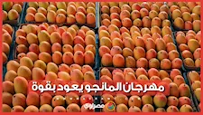 44 درجة مئوية تحت الظل.. شاهد كيف تبدو الشوارع وقت الذروة في المحافظة الأكثر حرارة بمصر