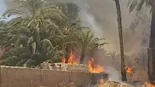 قبل امتداده للمنازل.. إخماد حريق ضخم في أشجار وحشائش بقرية بالمنيا (صور)