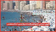 هروب جماعي لشواطئ الإسكندرية بسبب حر أغسطس