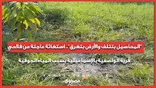 "المحاصيل بتتلف والأرض بتغرق".. استغاثة عاجلة من فلاحي قرية الواصفية بالإسماعيلية بسبب المياه الجوفية
