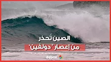 الصين تُصدر “الإنذار الأحمر”… أعلى مستوى تحذير لمواجهة إعصار “دولفين”