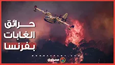 كيف تسببت أعقاب السجائر في إشعال الغابات وتوقيف المئات في فرنسا؟