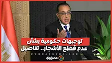 توجيهات حكومية بشأن عدم قطع الأشجار.. تفاصيل 