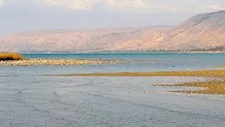 شمّاعة إسرائيلية.. كيف أصبحت "طبرية" ضحية لطحلب مصري لم يصلها أبدًا؟