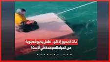 مات الجميع وظل بمفرده.. طفل ينجو بأعجوبة من الموت في مياه ألاسكا المتجمدة
