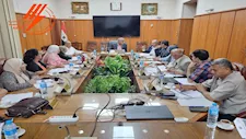 "الإسكندرية للكهرباء": خطة لتأمين أحمال واستهلاك صيف 2027