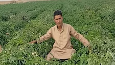 ذهب لتفقد أرضه فعاد في نعش.. جنازة شاب بالفيوم قتل داخل مزرعته بالضبعة -صور