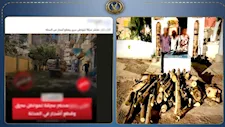 "قطعوا شجرتين وباعوا أخشابهما".. ضبط 3 أشخاص لاتهامهم بقطع الأشجار في الغربية