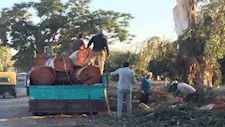أول تحرك من وزير الري بعد واقعة قطع أشجار قناطر إدفينا بمطوبس