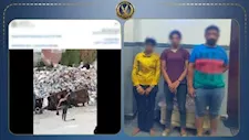 خلاف على أولوية جمع النفايات ينتهي بمشاجرة بين رجل وسيدتين بالإسكندرية