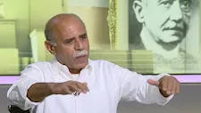 خبير تخطيط عمراني يكشف أنواع الأشجار الأنسب للزراعة في الشوارع