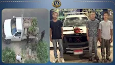جريمة في وضح النهار.. ضبط 4 متهمين بتقطيع أشجار الشوارع وسرقتها في الإسكندرية