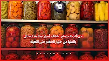من قلب المصنع.. شاهد أسرار صناعة المخلل بالمنيا من اختيار الخضار حتى التعبئة