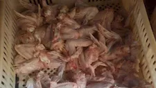 الزراعة تضبط 213 طنًا من اللحوم ومنتجاتها المخالفة خلال أغسطس