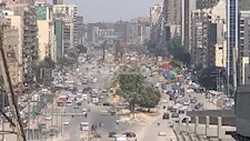 أين ذهبت أشجار جامعة الدول بعد قطعها؟.. مسؤولان يكشفان مصيرها وأموال بيعها
