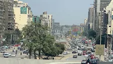من الميرلاند إلى جامعة الدول.. أشهر مذابح الأشجار بالقاهرة الكبرى