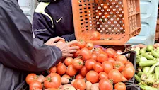 بعد الارتفاع الكبير.. أسعار الطماطم تتراجع بنحو 10 جنيهات للكيلو بالأسواق