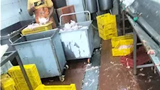 ضبط وإعدام 2.8 طن من الأغذية والمشروبات في حملة صحية بطور سيناء (صور)