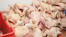 بعد شكاوى المواطنين.. ضبط دواجن فاسدة داخل مطعم شهير في بورسعيد