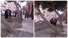 بيان حكومي ينفي قطع شجرة في عين شمس: "سقطت من تلقاء نفسها"