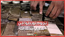 قضايا مخدرات وأحكام قضائية.. أبرز الأسماء التي واجهت أزمات قانونية