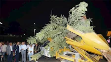 صور- 6 ساعات لإنقاذ شجرة عملاقة بعد سقوطها المفاجئ بمصر الجديدة
