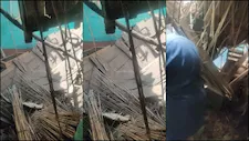 مات الأخوان ونجت الأم.. الصور الأولى لمنزل السنبلاوين المنهار -صور