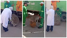 "شوفت بعيني طفل بيهوهو".. تفاصيل حملة الدقهلية لمواجهة الكلاب الضالة (صور)