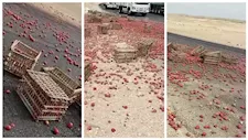 الطماطم على الأسفلت.. إصابة شخصين في انقلاب سيارة ربع نقل بالمنيا -صور