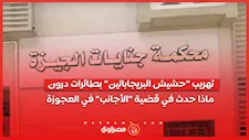 تهريب "حشيش البريجابالين" بطائرات درون.. ماذا حدث في قضية "الأجانب" في العجوزة 