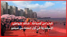 البحر آمن للسباحة.. شاهد شواطئ الإسكندرية في أول جمعة من سبتمبر