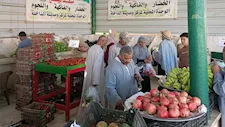 الطماطم بـ25 جنيهًا.. الوادي الجديد تطرح الخضروات والفاكهة بأسعار مخفضة- صور