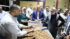 مع بدء الحصاد.. توجيهات عاجلة بشأن تمور الوادي الجديد- صور