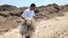 إنقاذ 200 طائر مهاجر وإزالة 750 مترًا من شباك الصيد المخالفة بمحمية البرلس