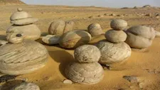"ثمارٌ لم تزرعها يد".. السر الغامض المخبأ تحت رمال الوادي الجديد -صور 