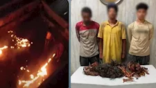 النار تكشف جريمتهما.. ضبط عاطلين أشعلا النيران في كابلات كهرباء بالجيزة
