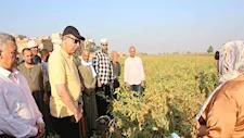 عُمدة المحاصيل الزيتية.. محافظ المنيا يشهد حصاد ودراس فول الصويا -صور