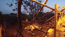 "كل اللي حيلتي راح".. صاحب حظيرة ماشية يروي تفاصيل حريق بالمنوفية - فيديو وصور