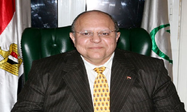 وزير التنمية الإدارية: السيسي الأنسب لرئاسة مصر 