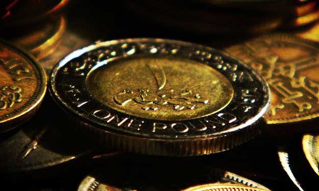 أبرز العملات التي ارتفعت أمام الجنيه خلال 2013