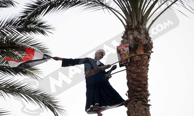 صعيدي يرفع صورة السيسي أعلى نقطة بميدان التحرير