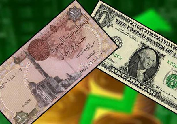 الدولار يواصل الثبات أمام الجنيه في عطاء المركزي