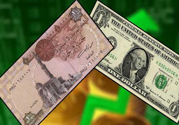 الدولار يواصل الاستقرار أمام الجنيه