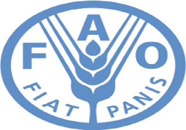 الفاو منظمة الأغذية والزراعة