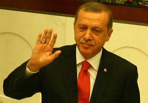 "يحق لأردوغان التأكد من أن أي قرار سيتخذه بشأن سور