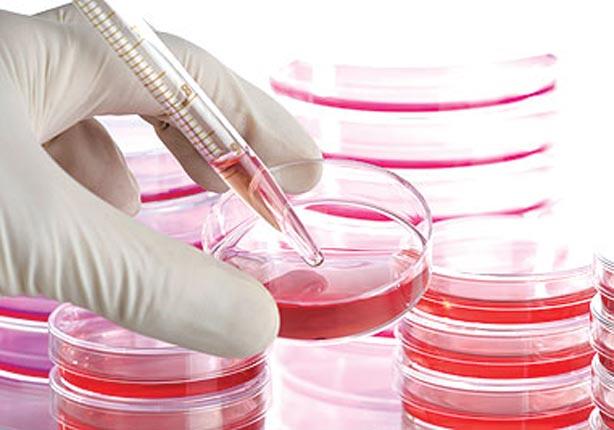 الخلايا الجذعية أمل الطب في علاج الأمراض المستعصية