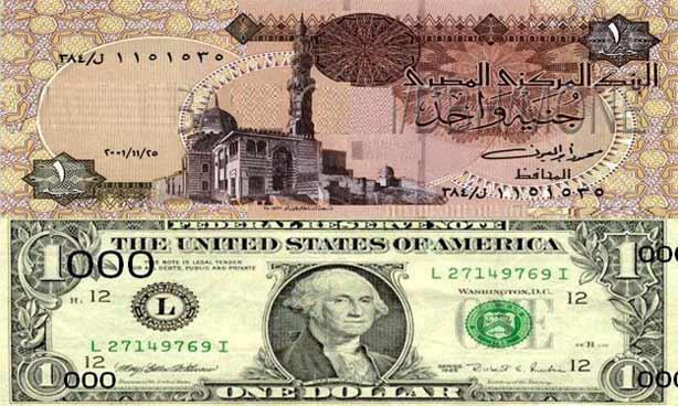 الدولار الأمريكي والجنيه المصري