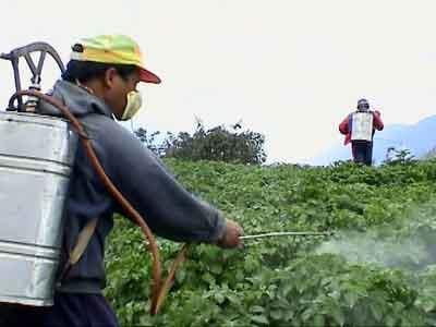 المبيدات الزراعية                                 