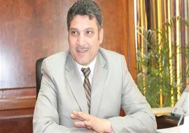 الدكتور حسام المغازي وزير الري والموارد المائية