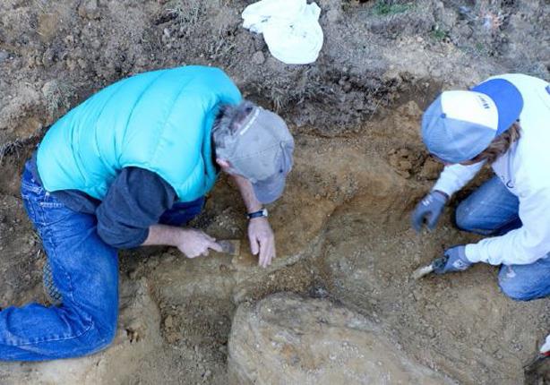 أمريكي يكتشف حفرية لسمكة قرش عمرها 15 مليون عاماً